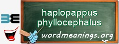 WordMeaning blackboard for haplopappus phyllocephalus